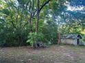 View of a small building with overgrown yard and mature trees at 25425 Olympia Rd, Brooksville, FL 34601