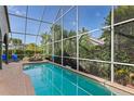 Screened-in pool area with a long swimming pool and beautiful private backyard at 892 Crestridge Cir, Tarpon Springs, FL 34688
