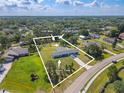 Aerial view showing property lines, pecan trees, orange trees, and a septic tank on a well-maintained lot at 12220 Twin Branch Acres Rd, Tampa, FL 33626
