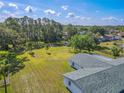 Large backyard area with mature trees offering plenty of space for outdoor activities and privacy at 12220 Twin Branch Acres Rd, Tampa, FL 33626