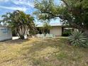 Spacious front yard showcasing a cozy home with mature trees and playful jockey-themed decorations at 1559 San Roy Dr, Dunedin, FL 34698