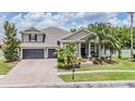 Charming home featuring a well-manicured lawn, mature palm trees, a two-car garage, and beautiful landscaping at 3656 Kalanchoe Pl, Wesley Chapel, FL 33544
