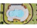 Aerial view of the community pool featuring lush landscaping and a secure fence at 7030 Summer Holly Pl, Riverview, FL 33578