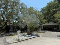 Charming single-story home featuring mature landscaping, a covered carport, and a classic white mailbox at 7601 Pine Hill Dr, Tampa, FL 33617
