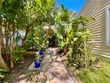 Beautiful stone and gravel path surrounded by lush tropical landscaping at 1330 Belcher Dr, Tarpon Springs, FL 34689