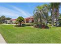 Beautifully landscaped front yard with mature palm trees and a charming, well-maintained residence at 14168 Fennsbury Dr, Tampa, FL 33624