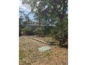 Well-maintained front yard showcasing the home's exterior and curb appeal at 1831 Pasadena Dr, Dunedin, FL 34698