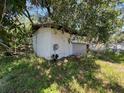 A white outbuilding is overtaken by vegetation and shaded by trees at 2402 E 148Th Ave, Lutz, FL 33549
