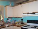 Compact kitchen features essential appliances and ample storage cabinets at 33821 Terrace Blvd, Wesley Chapel, FL 33543