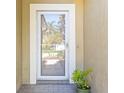 A close up of a front door with a storm door and potted plant, showcasing curb appeal at 1611 Cresson Ridge Ln, Brandon, FL 33510