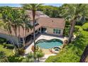 Aerial shot of backyard oasis with a freeform pool, spa, and lush tropical landscaping at 2041 Gold Dust Ct, Trinity, FL 34655
