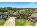 Aerial view of the property showcasing the well-manicured lawn and palm tree landscaping at 2041 Gold Dust Ct, Trinity, FL 34655