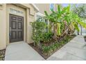 Charming home entrance featuring a dark brown door, lush landscaping and inviting walkway at 6736 Breezy Palm Dr, Riverview, FL 33578