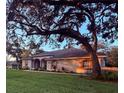 Well-maintained single-story home with a lush front lawn and mature trees providing shade at 13133 Roseanna Dr, Spring Hill, FL 34609