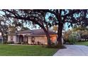 Well-maintained single-story home with a lush front lawn and mature trees offering shade at 13133 Roseanna Dr, Spring Hill, FL 34609