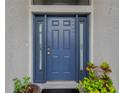 Close up of the blue front door with sidelights and a black welcome mat at 1806 Powder Ridge Dr, Valrico, FL 33594