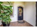 Elegant front entrance with a decorative black door, colorful wreath, and potted plant at 29118 Picana Ln, Wesley Chapel, FL 33543