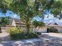 Beautiful home with mature landscaping including a large shade tree and maintained hedges at 7125 Silvermill Dr, Tampa, FL 33635