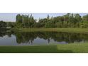 Scenic view of a tranquil pond reflecting the surrounding lush greenery and trees at 1922 Sassafras Dr, Wesley Chapel, FL 33543