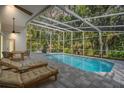 Relaxing screened-in pool with lounge chairs, perfect for enjoying the outdoors in privacy at 4797 Stonebriar Dr, Oldsmar, FL 34677