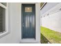 Close-up of a stylish front door with a glass insert and sleek hardware at 31647 Malbec Dr, Brooksville, FL 34602
