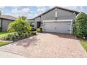 Stunning exterior view showcasing brick driveway, grey paint, and immaculate landscaping at 4620 Ballast Crest Cv, Land O Lakes, FL 34638