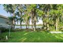Scenic backyard with mature trees and Spanish moss, providing privacy and charm at 10818 Land O Lakes Blvd, Land O Lakes, FL 34638