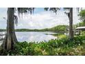 Beautiful lake view framed by lush greenery, offering a serene and picturesque setting at 10818 Land O Lakes Blvd, Land O Lakes, FL 34638