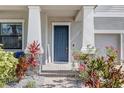 Inviting front entrance featuring a stylish blue door, decorative plants, and a paver walkway at 11726 Sunburst Marble Rd, Riverview, FL 33579