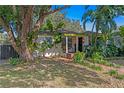 Quaint home featuring mature trees, lush tropical foliage, and a brick walkway at 1402 E Mohawk Ave, Tampa, FL 33604