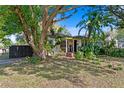 Quaint home featuring mature trees, lush tropical foliage, and a brick walkway at 1402 E Mohawk Ave, Tampa, FL 33604