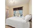 Cozy bedroom with a queen bed, soft lighting, and a window with blue curtains at 18967 Wood Sage Dr, Tampa, FL 33647