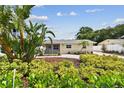 Landscaped home with tropical plants, fresh mulch, and an inviting walkway at 807 Illinois Ave, Palm Harbor, FL 34683