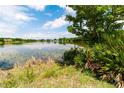 Scenic lake view with lush vegetation and a reflection of the sky at 8568 Sandy Beach St, Tampa, FL 33634