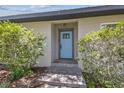 Close-up of light blue front door with glass panes, surrounded by mature landscaping at 2205 Henley Rd, Lutz, FL 33558
