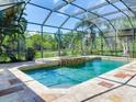 Beautiful screened pool and spa area with serene view, ideal for relaxation at 10504 Echo Lake Dr, Odessa, FL 33556