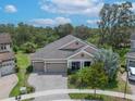 An aerial view showcases the property's well-maintained landscaping and neighborhood at 14223 Lambert Bridge Ln, Lithia, FL 33547
