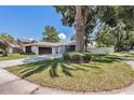 Well-maintained home with a dark two-car garage, mature trees, and a green lawn in a suburban neighborhood at 15801 Cottontail Pl, Tampa, FL 33624