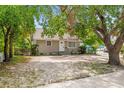 Charming single-story home with simple front facade, surrounded by lush greenery and mature trees at 2038 16Th S St, St Petersburg, FL 33705