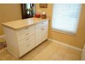 Functional kitchen island with storage cabinets and drawers, providing additional workspace and convenience at 311 Kelsey Way # 3, Sun City Center, FL 33573