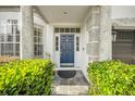 Inviting front entrance with a stylish blue door and well-maintained landscaping at 3903 W De Leon St, Tampa, FL 33609