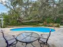 Relaxing backyard swimming pool surrounded by mature oak trees, offering a private and tranquil retreat at 10930 Marjory Ave, Tampa, FL 33612