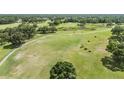 Panoramic view of lush golf course with mature trees and a clear path winding through the green landscape at 2216 Eagle Bluff Dr, Valrico, FL 33596