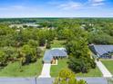 Gorgeous aerial view of a well-maintained house surrounded by lush greenery and mature trees in a quiet neighborhood at 10197 Meadow Wren Ave, Weeki Wachee, FL 34613
