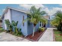 Inviting blue house features manicured landscape with lush greenery and decorative rock accents at 10325 Parkcrest Dr, Tampa, FL 33624