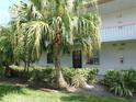 Exterior of a condo building with mature palm trees and landscaping adding shade and curb appeal at 111 Lakeview Pl, Oldsmar, FL 34677