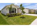 Well-maintained front yard with lush landscaping and a charming home at 33700 Hamilton Hill Ln, Wesley Chapel, FL 33545