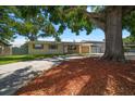 Charming single-story home with well-kept lawn and mature shade tree at 6282 41St N Ave, St Petersburg, FL 33709