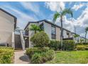 Condo exterior with stairs leading to units and vibrant landscaping with palm trees at 2597 Countryside Blvd # 210, Clearwater, FL 33761
