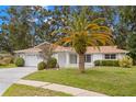Inviting single-story home with a lush green lawn and mature trees, offering a serene curb appeal at 2956 Sutherland Ct, Palm Harbor, FL 34684